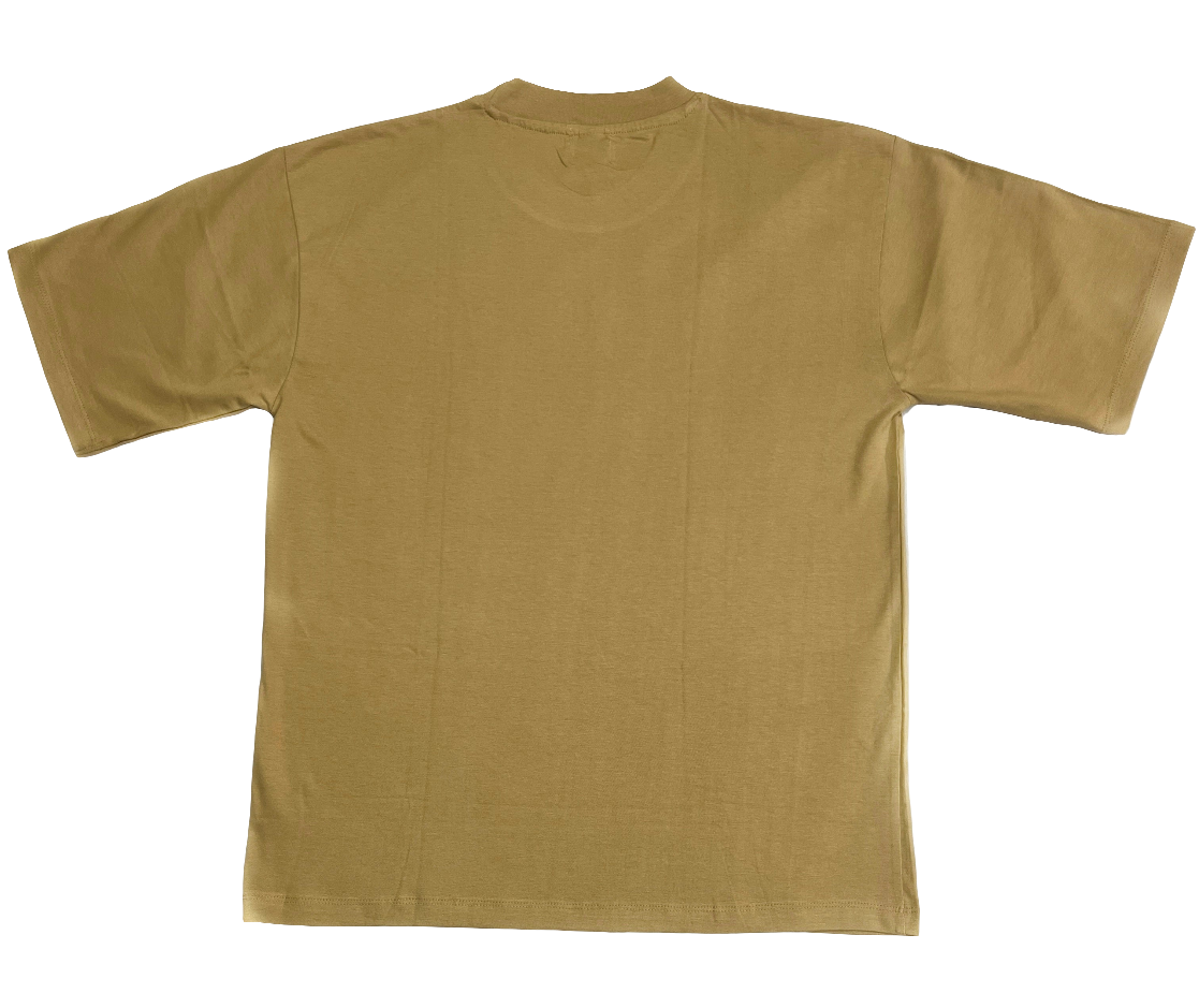 Oversized Tshirt - front print - taupe colour - unisex